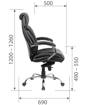 Офисное кресло CHAIRMAN CH423 кожа, черный